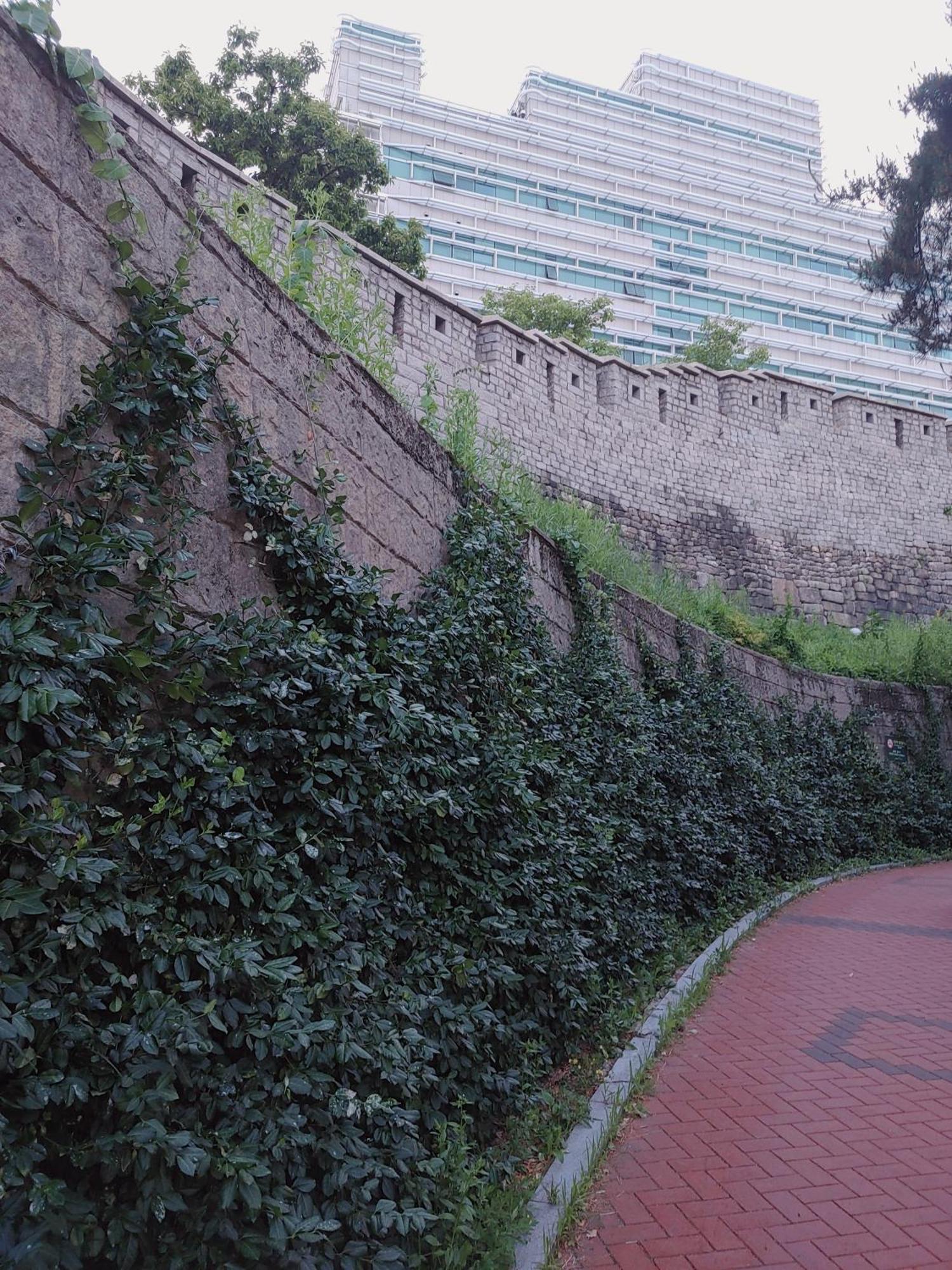 Cobe Guesthouse Dongdaemun Seul Dış mekan fotoğraf